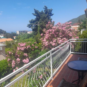 Mir, Petrovac Na Moru